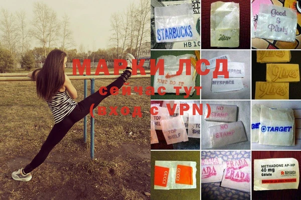 спиды Алзамай