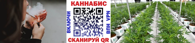 Бошки марихуана OG Kush  hydra как зайти  Нерехта 